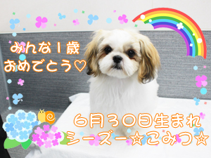 ６月で１歳になりました♪